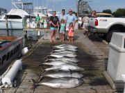 Pirate's Cove Marina, Tuna's are NOT Gone