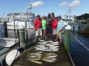 Pirate's Cove Marina, All kinds of fish!