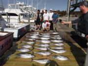 Pirate's Cove Marina, Limits of Yellowfin Tuna