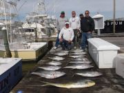 Pirate's Cove Marina, Yellowfin  biting....and 1st Blue Marlin of the Season