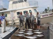 Pirate's Cove Marina, The Tuna and Dolphin are Biting!