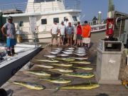 Pirate's Cove Marina, The Fish are Biting...