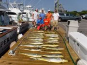 Pirate's Cove Marina, 2 Sailfish Mahi Cobia and Tuna