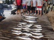 Pirate's Cove Marina, Great weather.....Good fishing!