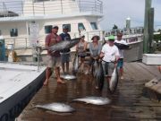 Pirate's Cove Marina, Amazing Weather….Great Fishing
