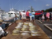 Pirate's Cove Marina, Mahi and Marlin...