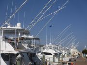 Pirate's Cove Marina, Things are Looking UP!