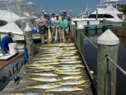 Pirate's Cove Marina, Good Things Come to Those Who Bait...