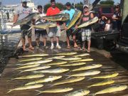 Pirate's Cove Marina, Keep Calm and Fish On