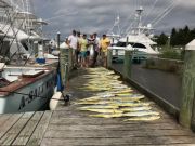 Pirate's Cove Marina, You want the Gills, We got the Skills...