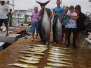 Pirate's Cove Marina, Rough Seas and Meat Slams