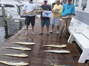 Pirate's Cove Marina, The Fish don't care..