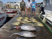 Pirate's Cove Marina, Wednesday’s Catch