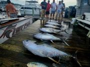 Pirate's Cove Marina, The Past Two Days!