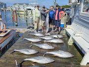 Pirate's Cove Marina, Tuesday Tails!