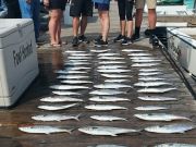 Pirate's Cove Marina, PCBT Day One Fishing!