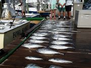 Pirate's Cove Marina, Fintastic Friday Fishing Fun!