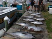 True Grit Sportfishing, Rainy Day