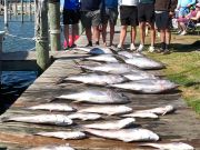 True Grit Sportfishing, On the Meat