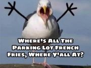 TW’s Bait & Tackle, Daily Fishing Report