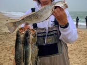 TW’s Bait & Tackle, Daily Fishing Report