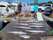 Pirate's Cove Marina, Tuesday’s Catch!