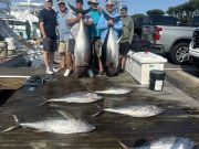 Pirate's Cove Marina, Take it to the Limit!