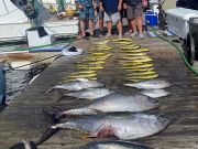 Pirate's Cove Marina, Saturday Fishin'