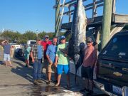 Pirate's Cove Marina, FINally Out Fishin'