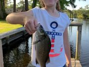 TW’s Bait & Tackle, Daily Fishing Report