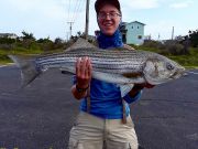 TW’s Bait & Tackle, Daily Fishing Report