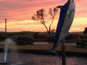 Pirate's Cove Marina, Stormy Days..