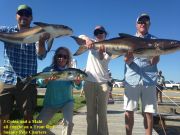 TW’s Bait & Tackle, Daily fishing Report