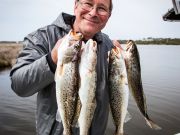 TW’s Bait & Tackle, Daily Fishing Report