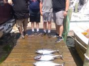 Wanchese Fishing Charters, What's the chances