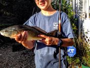 TW’s Bait & Tackle, Daily Fishing Report