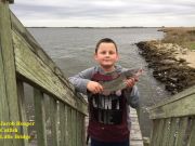 TW’s Bait & Tackle, Daily Fishing Report