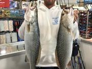 TW’s Bait & Tackle, Daily Fishing Report