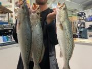 TW’s Bait & Tackle, Daily Fishing Report