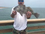 TW’s Bait & Tackle, Daily Fishing Report