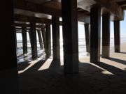 Jennette's Pier, Bluefish on a Windy Day