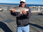 TW’s Bait & Tackle, Daily Fishing Report