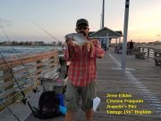 TW’s Bait & Tackle, Daily Fishing Report