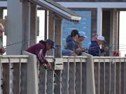 Jennette's Pier, Jigging for Bluefish