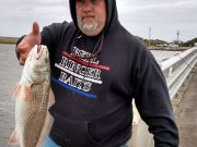 TW’s Bait & Tackle, TW's Daily Fishing Report