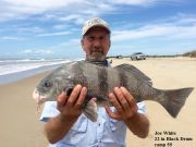 TW’s Bait & Tackle, Daily Fishing Report