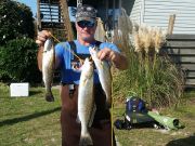 TW’s Bait & Tackle, Daily Fishing Report