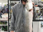 TW’s Bait & Tackle, Daily Fishing Report