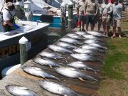 True Grit Sportfishing, Full Box