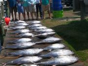 True Grit Sportfishing, Great Tuna Fishing